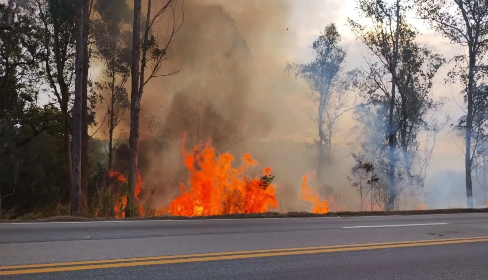 Maior incêndio as margens da rodovia foi registrado em Carandaí pela EPR
